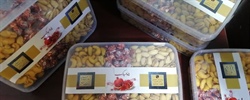 یلدا در بیمارستان تخت جمشید